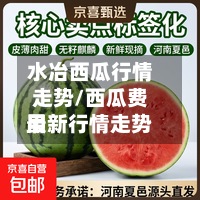 水冶西瓜行情走势/西瓜费用
最新行情走势