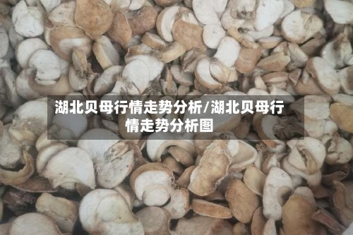湖北贝母行情走势分析/湖北贝母行情走势分析图-第3张图片