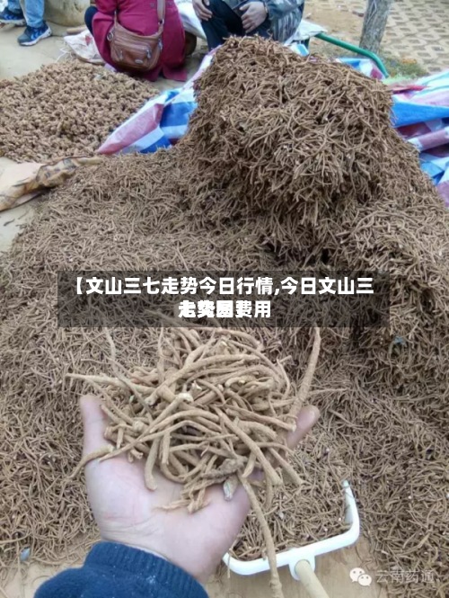 【文山三七走势今日行情,今日文山三七交易费用
走势图】