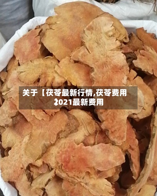 关于【茯苓最新行情,茯苓费用2021最新费用】-第2张图片