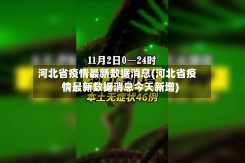 河北省疫情最新数据消息(河北省疫情最新数据消息今天新增)-第3张图片