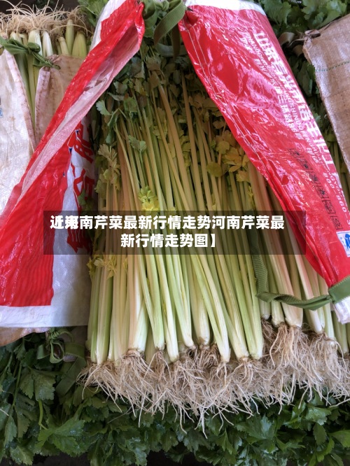 近来【河南芹菜最新行情走势河南芹菜最新行情走势图】