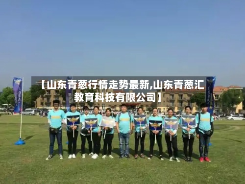 【山东青葱行情走势最新,山东青葱汇教育科技有限公司】-第2张图片