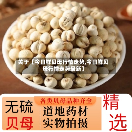 关于【今日鲜贝母行情走势,今日鲜贝母行情走势最新】