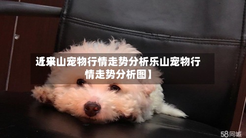 近来【乐山宠物行情走势分析乐山宠物行情走势分析图】