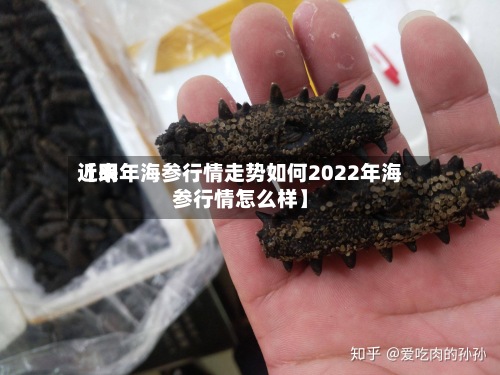 近来
【明年海参行情走势如何2022年海参行情怎么样】-第3张图片