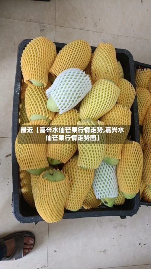 最近【嘉兴水仙芒果行情走势,嘉兴水仙芒果行情走势图】