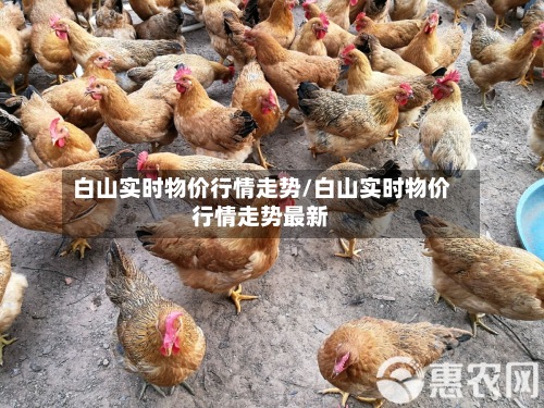 白山实时物价行情走势/白山实时物价行情走势最新