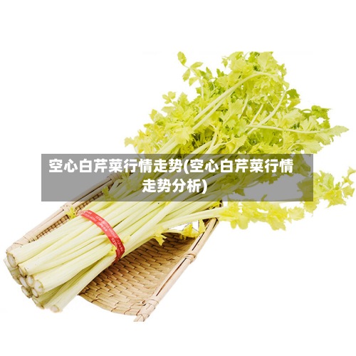 空心白芹菜行情走势(空心白芹菜行情走势分析)