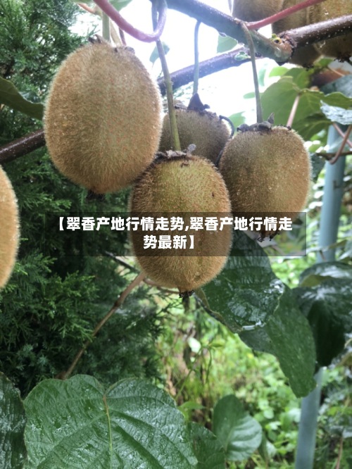 【翠香产地行情走势,翠香产地行情走势最新】-第2张图片