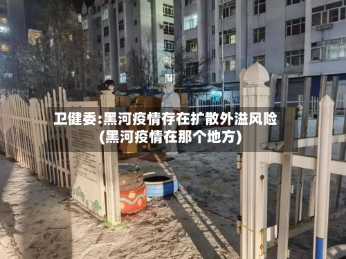 卫健委:黑河疫情存在扩散外溢风险(黑河疫情在那个地方)-第3张图片