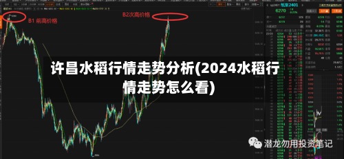 许昌水稻行情走势分析(2024水稻行情走势怎么看)-第3张图片