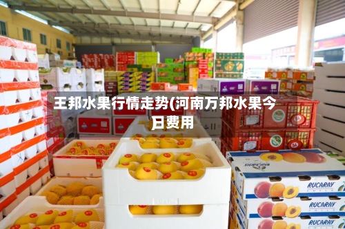 王邦水果行情走势(河南万邦水果今日费用)-第3张图片