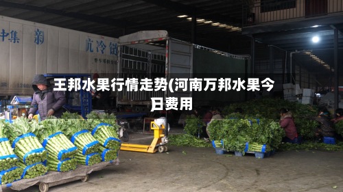 王邦水果行情走势(河南万邦水果今日费用)-第2张图片