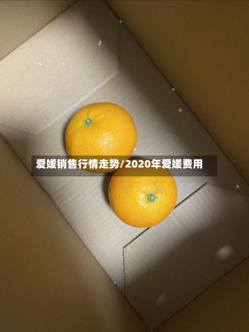 爱媛销售行情走势/2020年爱媛费用
-第3张图片