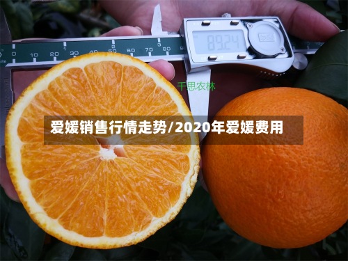 爱媛销售行情走势/2020年爱媛费用