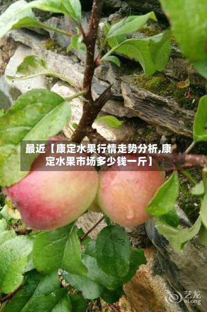 最近【康定水果行情走势分析,康定水果市场多少钱一斤】