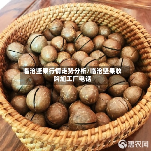 临沧坚果行情走势分析/临沧坚果收购加工厂电话