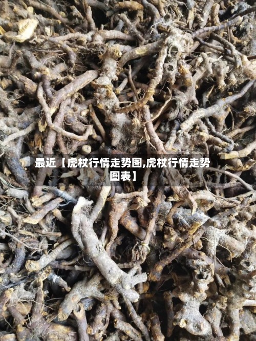 最近【虎杖行情走势图,虎杖行情走势图表】-第3张图片