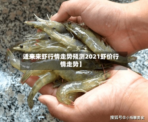 近来
【未来虾行情走势预测2021虾价行情走势】-第3张图片
