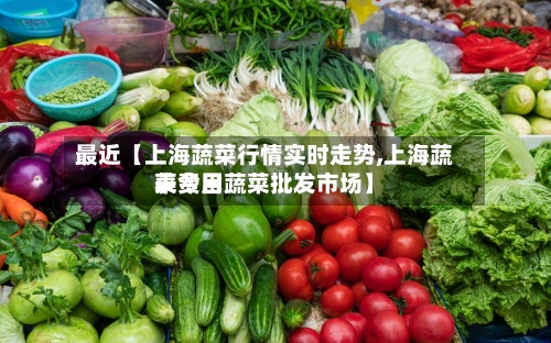 最近【上海蔬菜行情实时走势,上海蔬菜费用
表今日蔬菜批发市场】-第3张图片