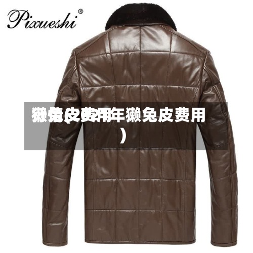 獭兔皮费用行情(2021年獭兔皮费用)