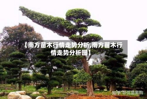 【南方苗木行情走势分析,南方苗木行情走势分析图】-第2张图片