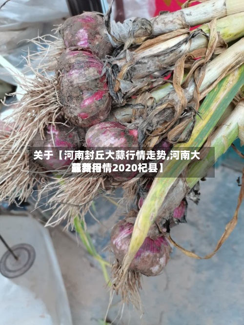 关于【河南封丘大蒜行情走势,河南大蒜费用
最新行情2020杞县】-第2张图片