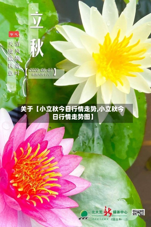 关于【小立秋今日行情走势,小立秋今日行情走势图】-第2张图片