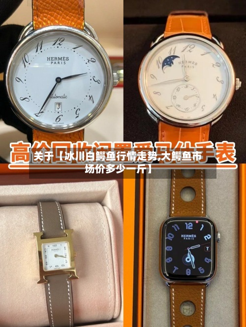 关于【冰川白鳄鱼行情走势,大鳄鱼市场价多少一斤】-第2张图片