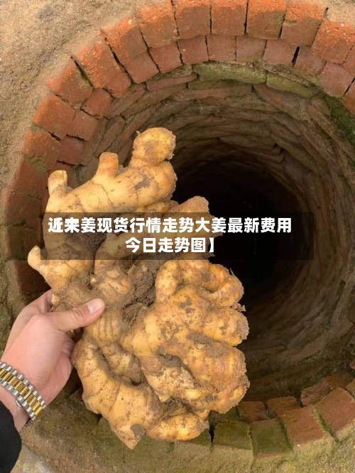 近来
【大姜现货行情走势大姜最新费用
今日走势图】