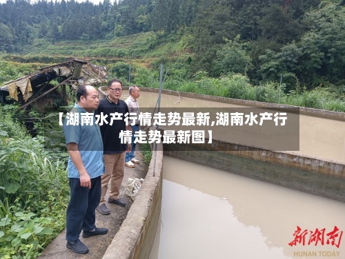 【湖南水产行情走势最新,湖南水产行情走势最新图】