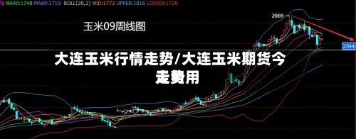 大连玉米行情走势/大连玉米期货今天费用走势-第2张图片