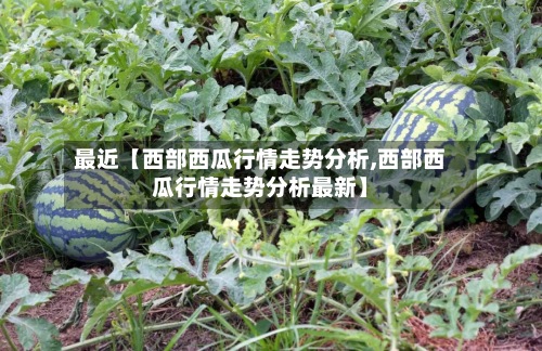 最近【西部西瓜行情走势分析,西部西瓜行情走势分析最新】-第2张图片