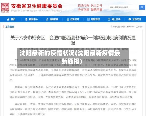 沈阳最新的疫情状况(沈阳最新疫情最新通报)
