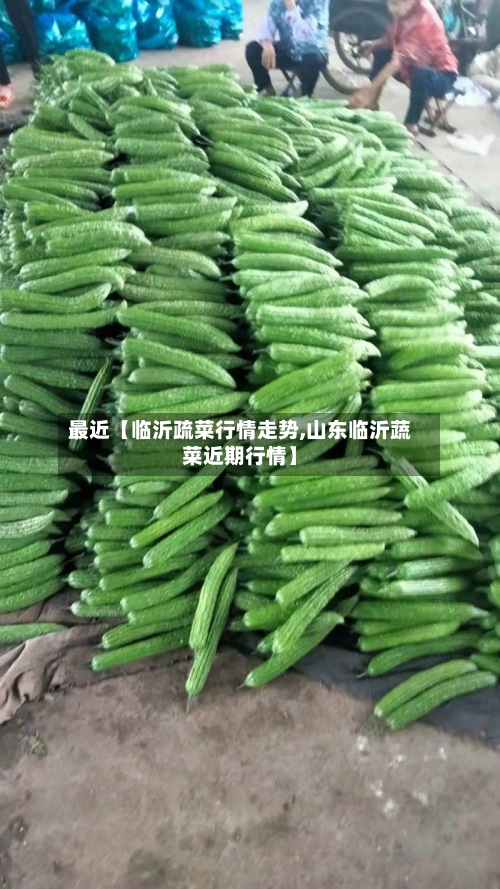 最近【临沂疏菜行情走势,山东临沂蔬菜近期行情】